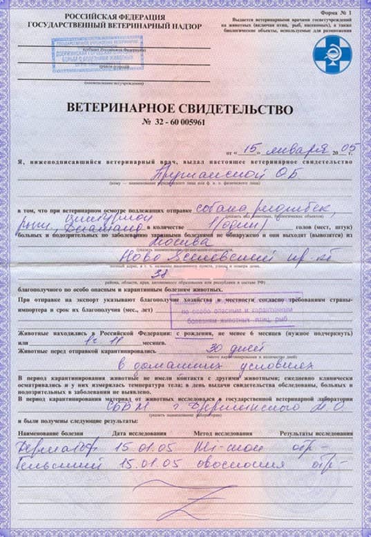 veterinarnaya-spravka-formy-f-1 (2) veterinarnaya-spravka-formy-f-1